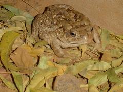 Zdj�cie: dsc03941.jpg �roda, 17 grudzie� 2003, 21:58