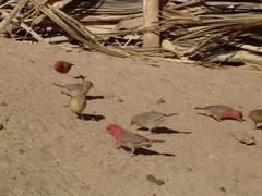 Zdj�cie: dsc04320.jpg poniedzia�ek, 22 grudzie� 2003, 08:56