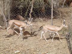 Zdj�cie: dsc04494.jpg �roda, 24 grudzie� 2003, 12:46