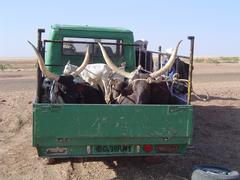 Zdj�cie: dsc05148.jpg sobota, 03 stycze� 2004, 15:41